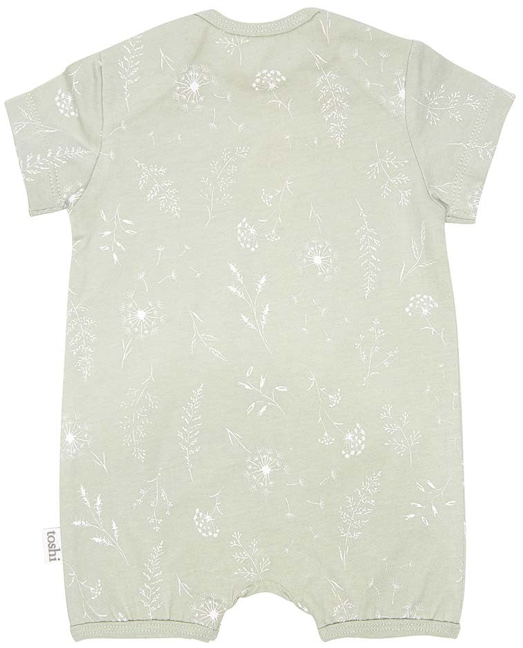 Toshi Onesie Short Sleeve - Dandelion - Image 3