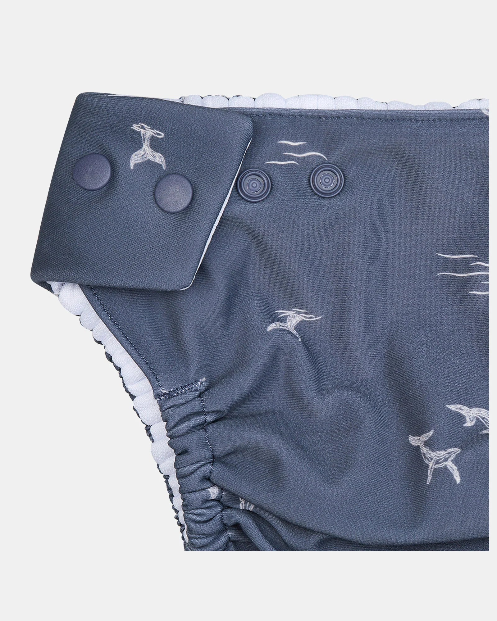 Toshi Swim Baby Nappy Classic - Whales - Image 3